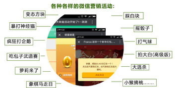 云亞爆炸式微信營銷軟件 型號(hào)、功能與購買指南